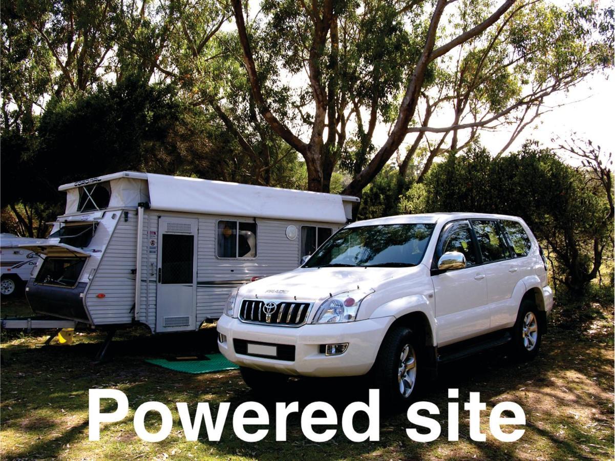 Bimbi Park - Camping Under Koalas Cape Otway Exterior foto