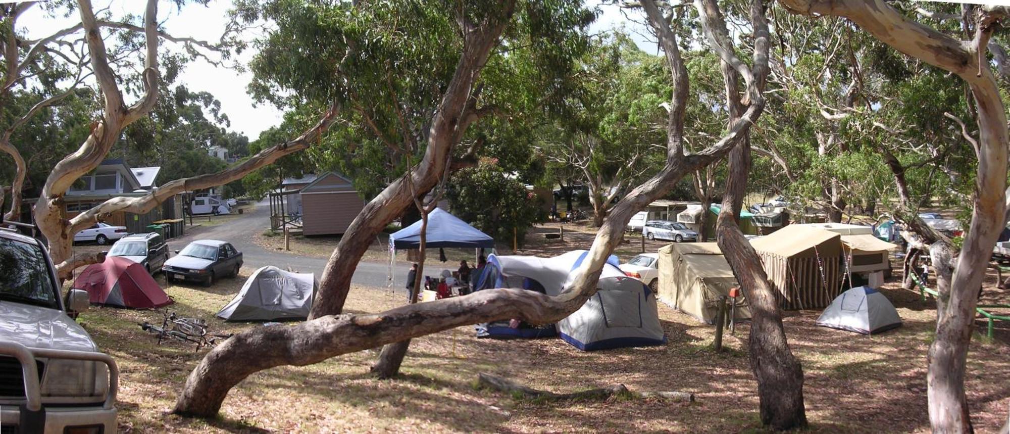 Bimbi Park - Camping Under Koalas Cape Otway Exterior foto