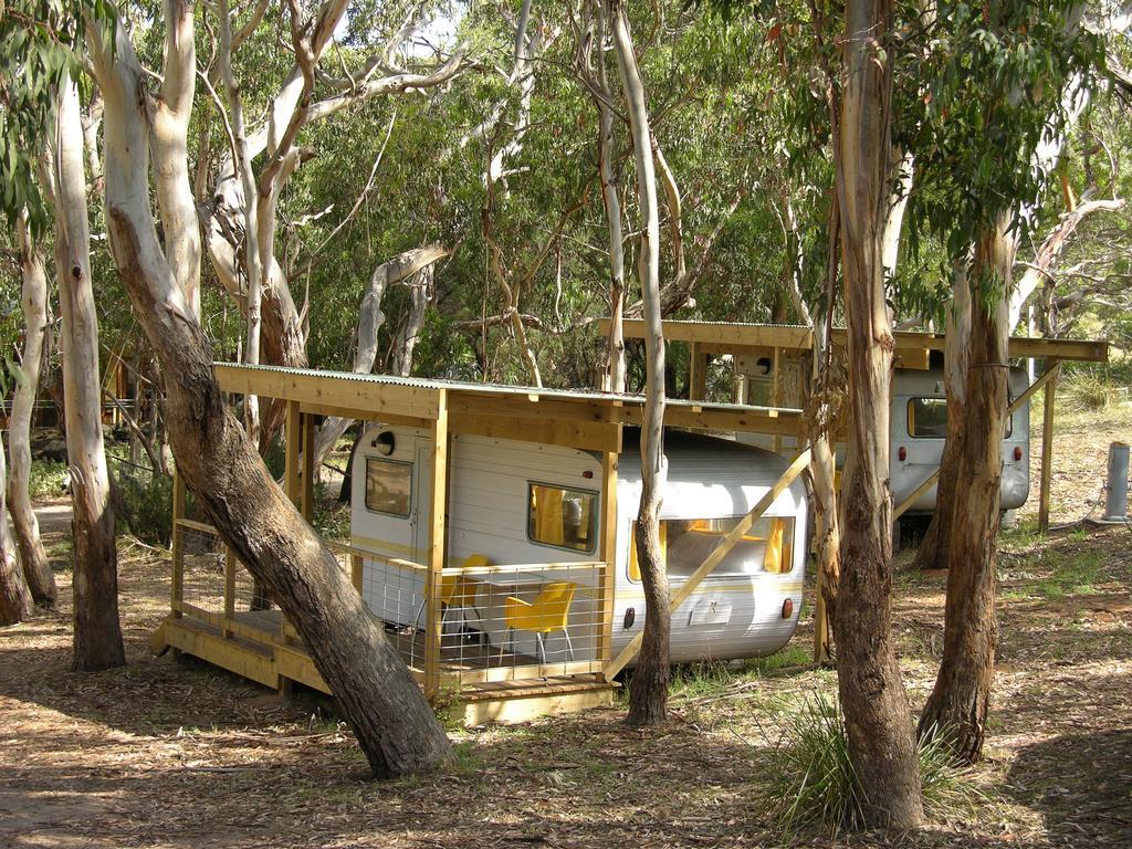 Bimbi Park - Camping Under Koalas Cape Otway Exterior foto