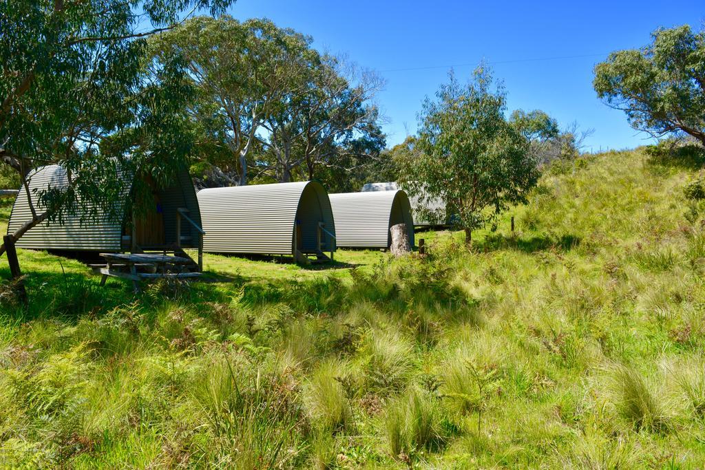 Bimbi Park - Camping Under Koalas Cape Otway Exterior foto